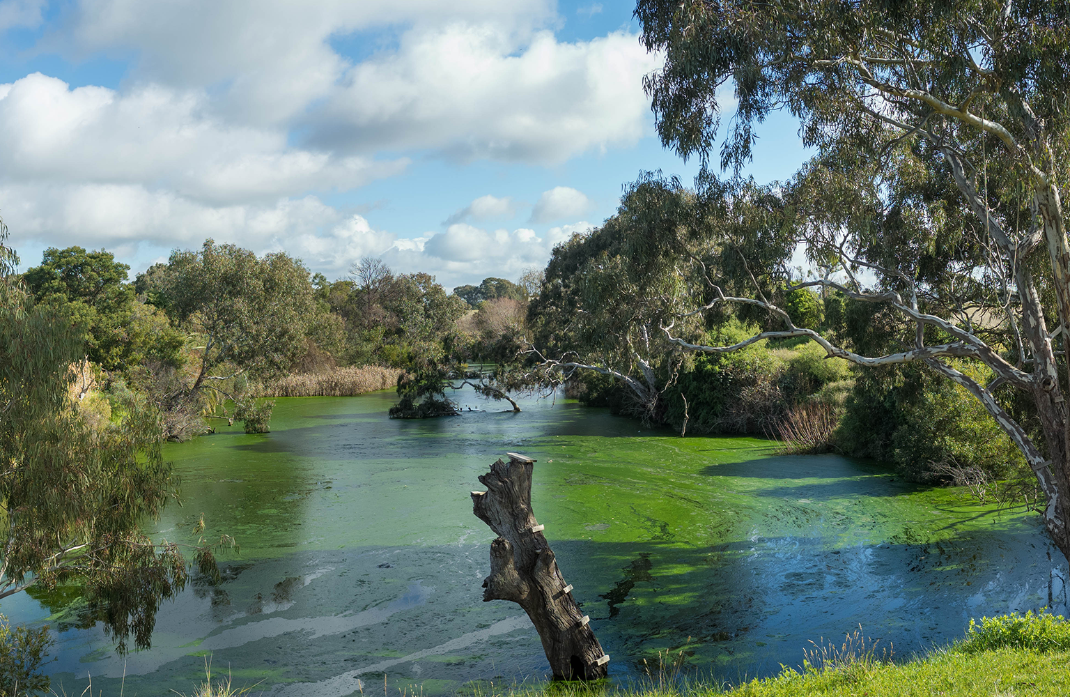 Part-Time position for procedures available - Werribee